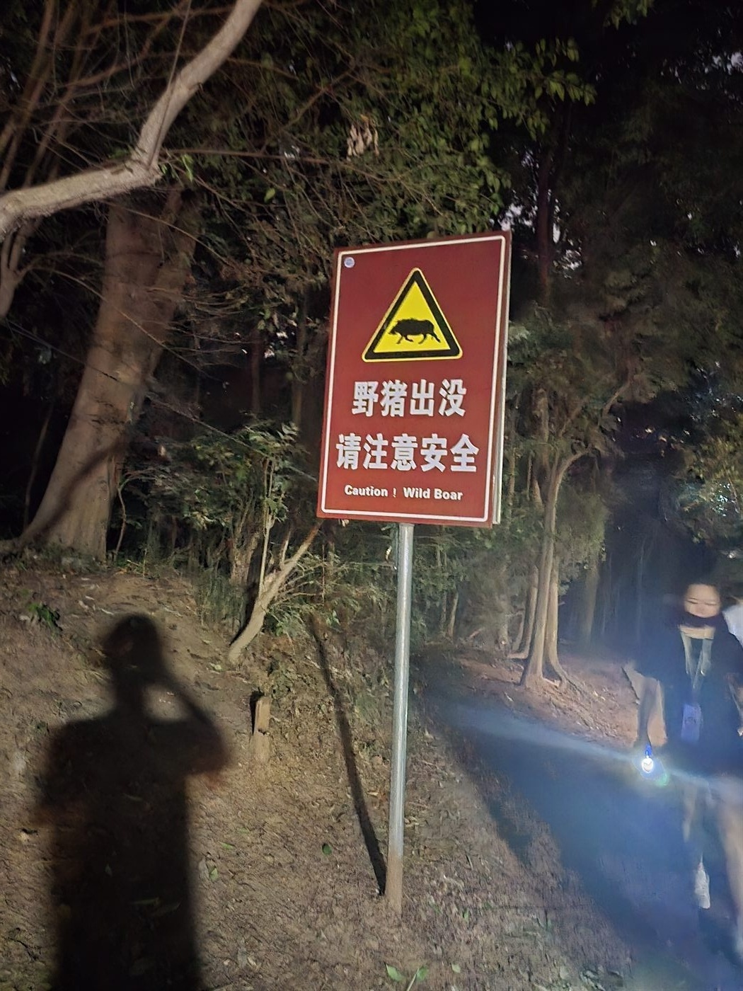 南京旅行照片，路边的野猪出没提示牌